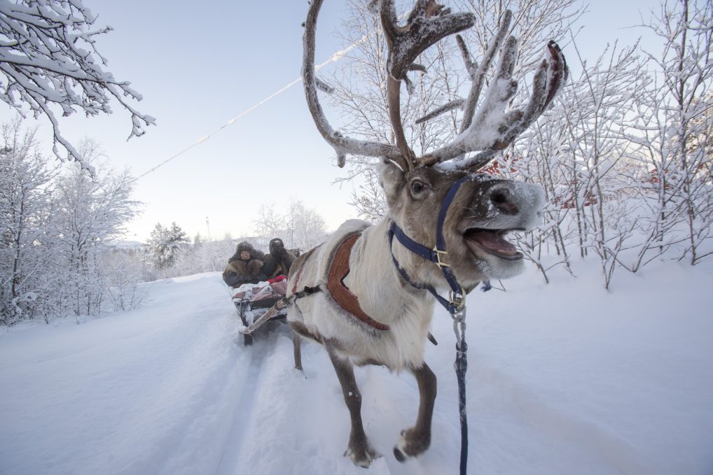 Vinter i Finnmark? Stor guide til opplevelser ute og inne i Alta-området - Alltid reiseklar